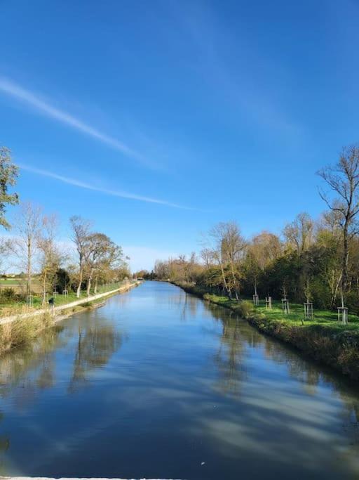 Hebergement - Canal Du Midi Saint-Martin-Lalande المظهر الخارجي الصورة