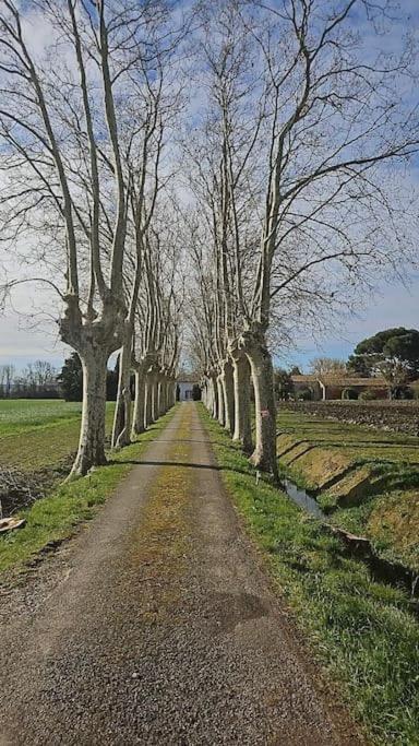 Hebergement - Canal Du Midi Saint-Martin-Lalande المظهر الخارجي الصورة